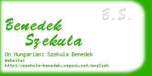 benedek szekula business card